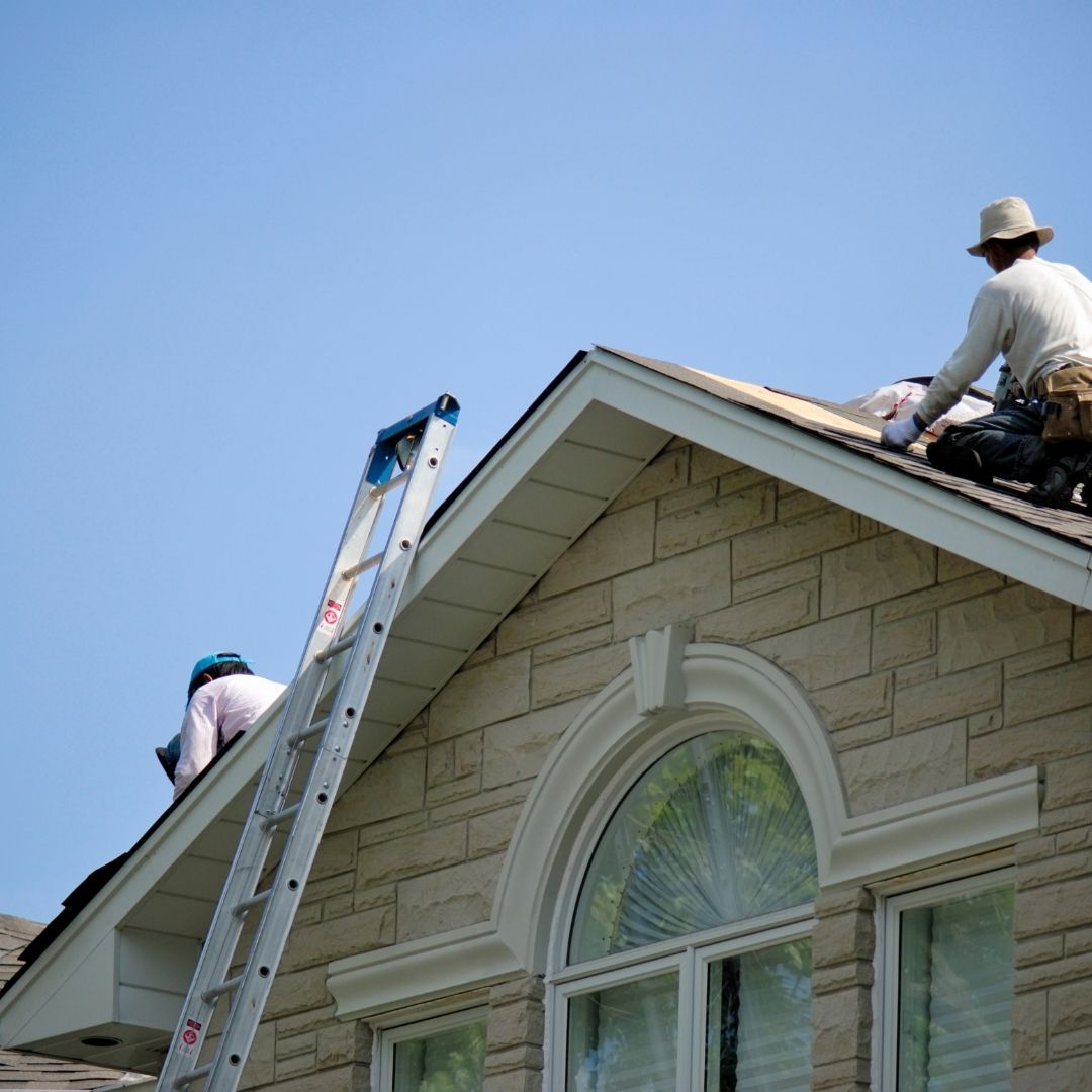 Do they offer maintenance programs for longevity?