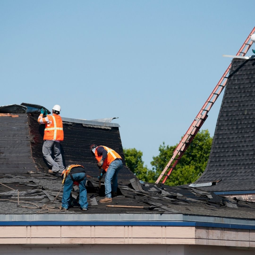 Professional Roof Consultation Services